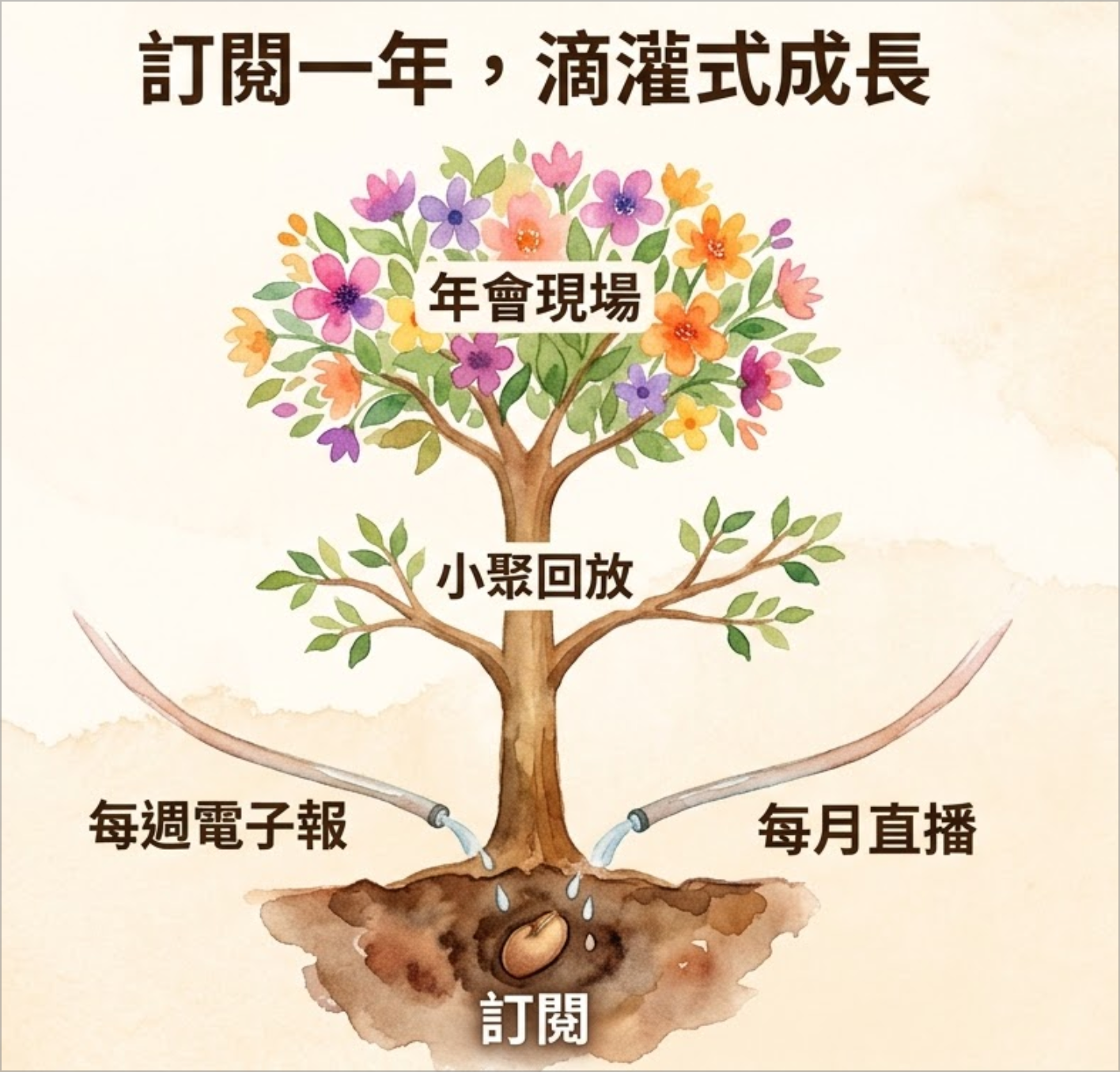 滴灌式成長水彩插畫:從訂閱種子開始,透過每週電子報和每月直播的滴灌,長成小聚回放的枝葉,頂端綻放年會現場的花朵