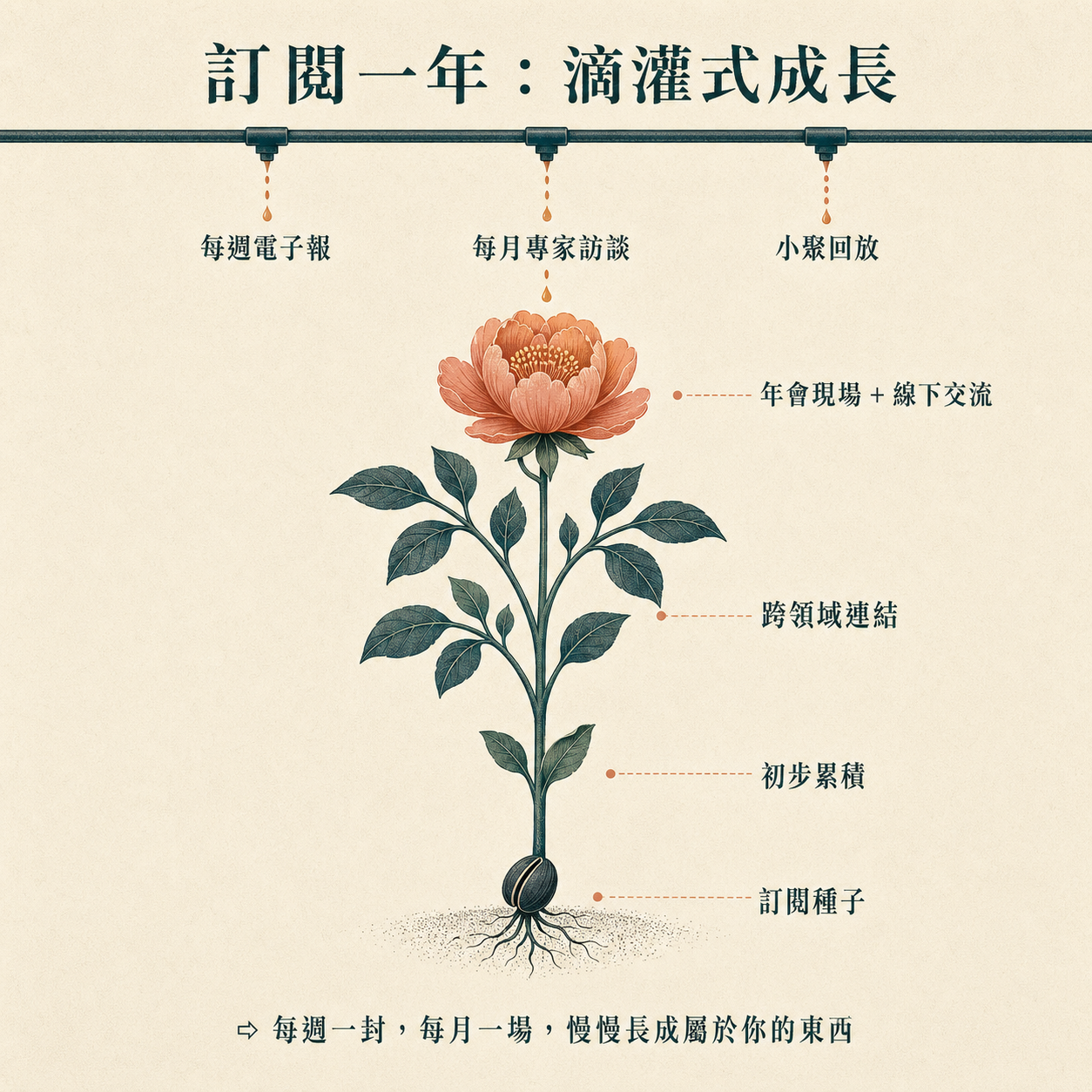 訂閱滴灌式成長資訊圖：頂端三個滴管（每週電子報、每月專家訪談、小聚回放）持續澆灌中央植物從種子長成枝葉、最後頂端綻放花朵